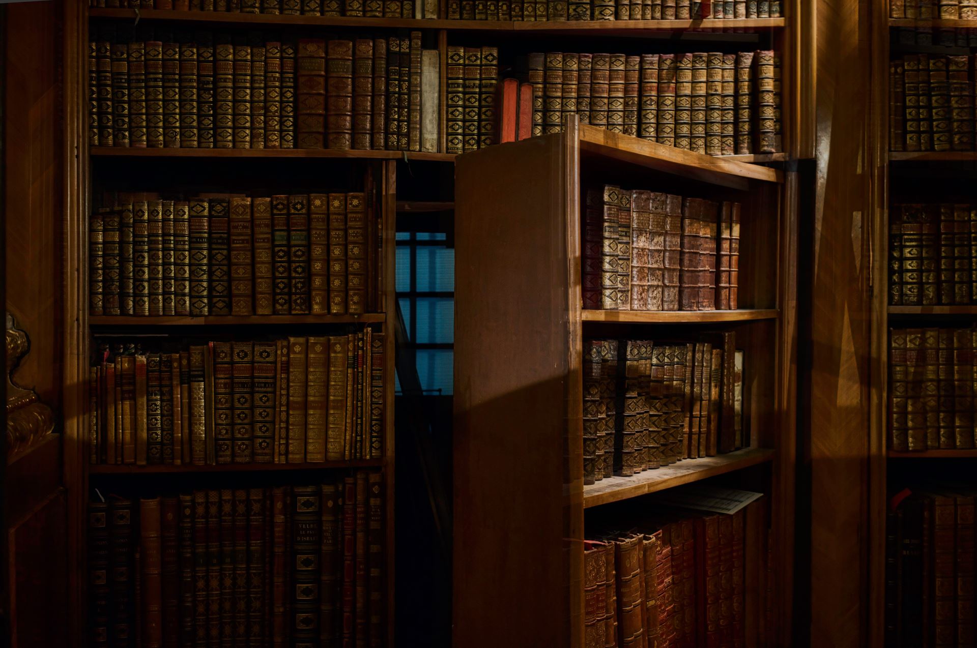 Library with hidden door